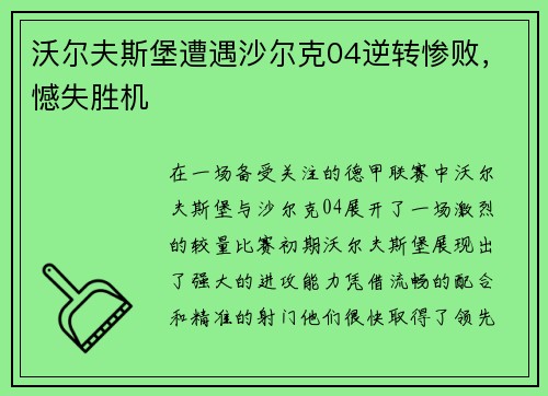 沃尔夫斯堡遭遇沙尔克04逆转惨败，憾失胜机